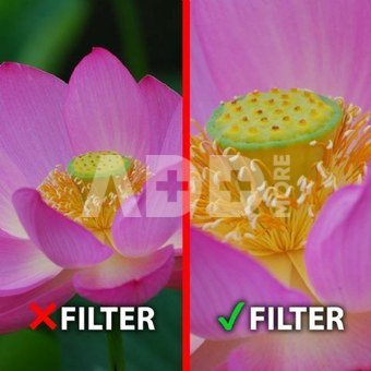 Objektyvų filtras MARUMI Marumi Macro +3 Filter DHG 55 mm